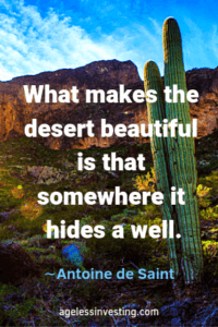 A cactus in the desert. Headline quote: "What makes the desert beautiful is that somewhere it hides a well" -Antoine de Sainte