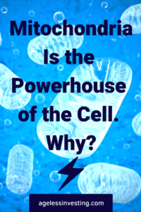 Mitochondria on a blue background, headline "Mitochondria is the powerhouse of the cell. Why?" agelessinvesting.com