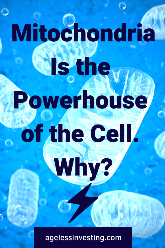 Mitochondria is the powerhouse of the cell. Why? Mitochondria function is far more than just energy production. Why are mitochondria the key to optimal health, energy, and longevity?