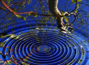 Ripples in water, telomeres and meditation