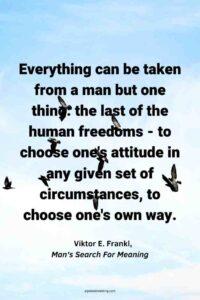 An image of birds flying against a light blue sky, with the text overlay: "Everything can be taken from a man but one thing: the last of the human freedoms - to choose one's attitude in any given set of circumstances, to choose one's own way". ∼Viktor E. Frankl, Man's Search For Meaning"