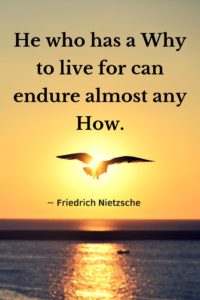 A bird flying in the sunset over water, quote, "He who has a Why to live for can endure almost any How." -Friedrich Nietzsche