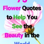 75 Flower Quotes To Help You See The Beauty in the World. #flowerquotes #flowers #quotes #beautiful