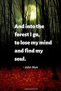 A picture of a full moon through the trees in the forest, quote "And into the forest I go, to lose my mind and find my soul"