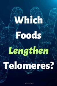 An image of Telomeres against a dark blue background, with the text overlay:"Which Foods Lengthen Telomeres?"