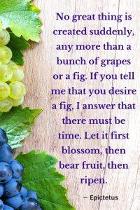 A picture of grapes on a wooden board, quote "No great thing is created suddenly, any more than a bunch of grapes or a fig. If you tell me that you desire a fig, I answer that there must be time. Let it first blossom, then bear fruit, then ripen. ∼ Epictetus. 