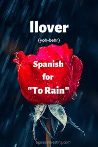 A picture of a red rose in the rain, headline "llover, Spanish for "to rain"