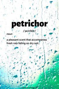 Photo of rain dripping down a window, Petrichor: noun: a pleasant scent that accompanies fresh rain falling on dry soil