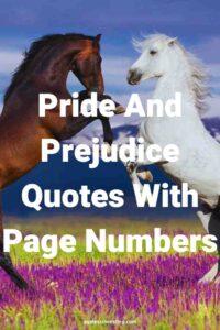 Ain image of a dark brown horse and a white horse facing each other on their hind legs, with the text overlay: pride and prejudice quotes 