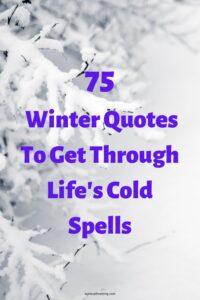 A picture of snow falling on snow covered spruce trees, with the headline ""75 Winter Quotes To Get Through Life's Cold Spells"