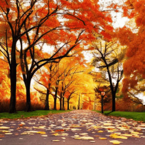 A picture of a road covered with orange leaves and trees with orange leaves on each side