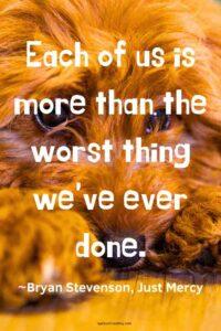 A close up image of a sad shaggy brown dog, with the text overlay: “Each of us is more than the worst thing we’ve ever done.” ~Bryan Stevenson, Just Mercy"