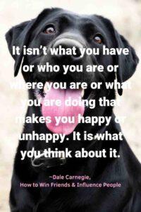 An image of a happy black lab dog, with the text overlay: “It isn’t what you have or who you are or where you are or what you are doing that makes you happy or unhappy. It is what you think about it.” ~Dale Carnegie, How to Win Friends & Influence People"