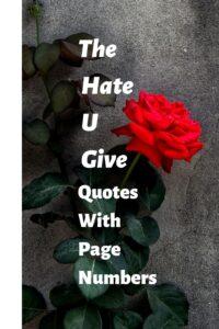 A picture of a red rose with a gray concrete background, with the headline: "The Hate U Give Quotes With Page Numbers"