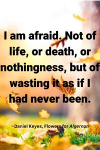 An image of orange falling leaves, with the text overlay:“I am afraid. Not of life, or death, or nothingness, but of wasting it as if I had never been.” ~Daniel Keyes, Flowers for Algernon"