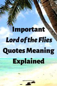 25 Important Lord Of The Flies Quotes Meaning Explained | Ageless Investing