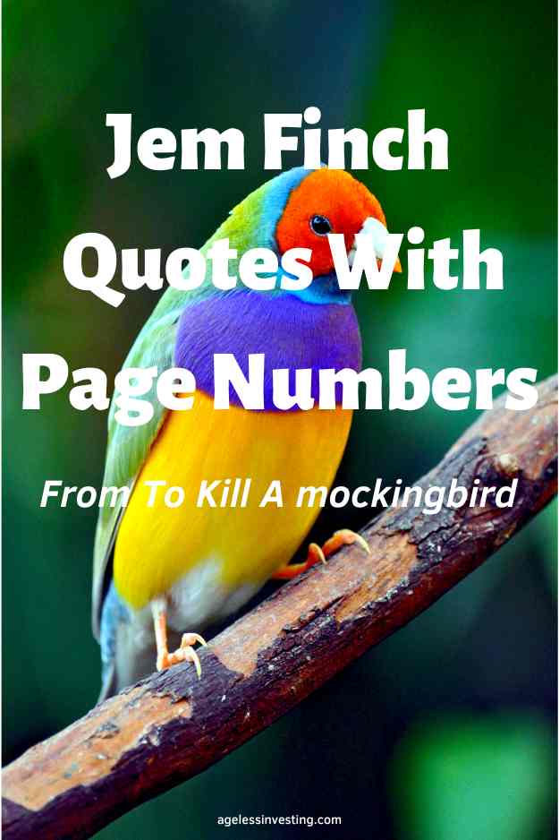 An image of a colorful Gouldian Finch sitting on a branch, with the text overlay "Jem Finch quotes with page numbers from To KIll A Mockingbird"