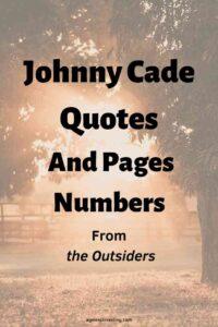 An image of the sun setting under tree branches, with the text overlay: "Johnny Cade Quotes And Pages Numbers From The Outsiders"