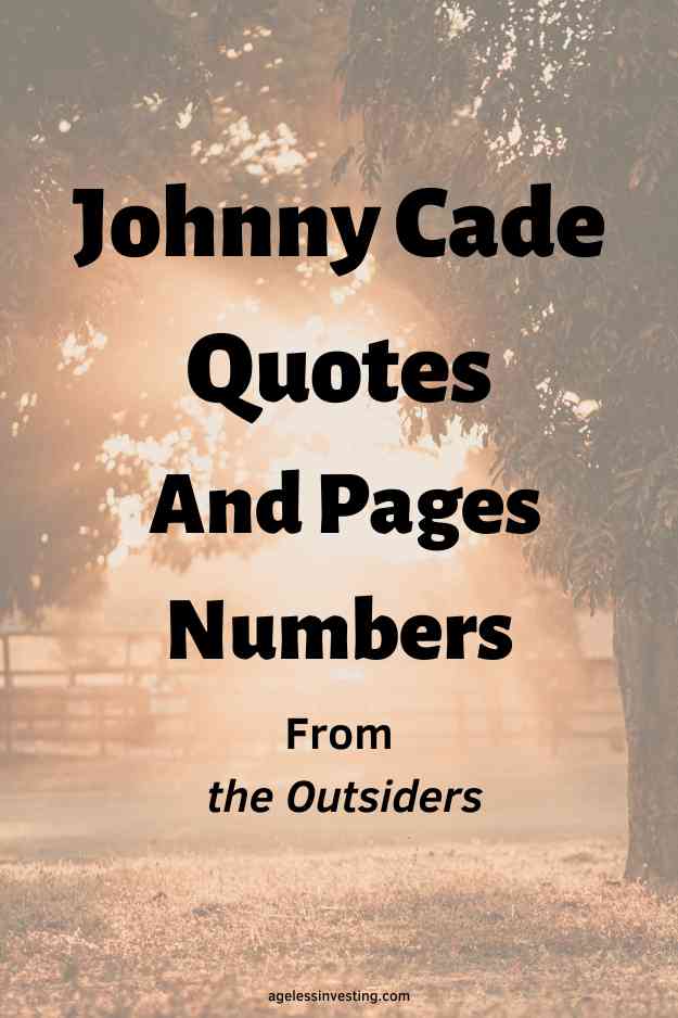 An image of the sun setting under tree branches, with the text overlay: "Johnny Cade Quotes And Pages Numbers From The Outsiders"