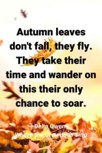 An image of autumn leaves falling on the ground, with the text overlay: “Autumn leaves don’t fall, they fly. They take their time and wander on this their only chance to soar.” ~Delia Owens, Where the Crawdads Sing