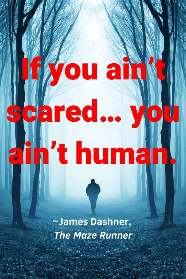 50 The Maze Runner Quotes With Page Numbers Ageless Investing
