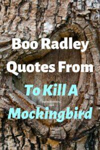 Boo Radley QuotesA picture of a knot in a tree shaped like a heart, with the text overlay: "Boo Radley Quotes From To Kill A Mockingbird"