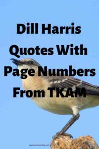 A picture of a perched mockingbird against a blue sky, with the text overlay: "Dill Harris Quotes With Page Numbers From TKAM"