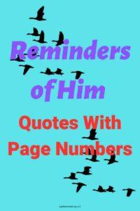 A graphic of birds flying against a blue background, with the text overlay: "Reminders of Him Quotes With Page Numbers"