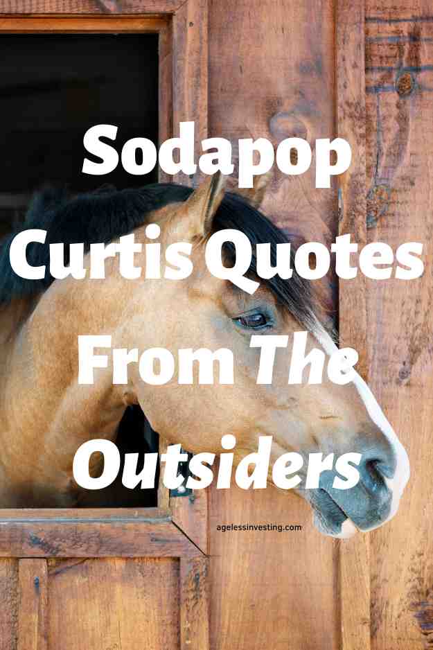 A picture of the side of the face of a buckskin horse's head, with the text overlay:"Sodapop Curtis Quotes From The Outsiders"