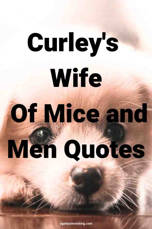 A picture of a sad lonely puppy lying on the ground, with the text overlay: "Curley's Wife Of Mice and Men Quotes"