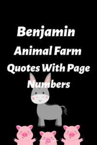 A graphic of three happy pink pigs and a gray donkey against a black background, with the text overlay: "Benjamin Animal Farm Quotes With Page Numbers"