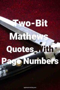 A picture of a switchblade against a dark red background, with the text overlay: "Two-Bit Mathews Quotes With Page Numbers"