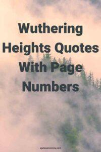 A picture of evergreen trees in fog, with the text overlay: "Wuthering Heights Quotes With Page Numbers"