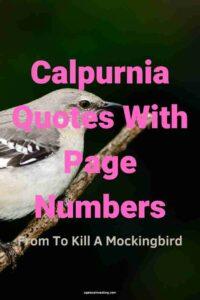 A picture of a mockingbird sitting on a branch against a black background, with the text overlay: "Calpurnia Quotes With Page Numbers From To Kill A Mockingbird"