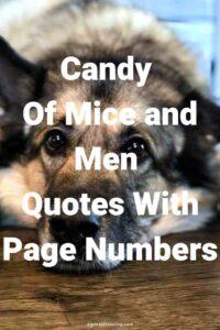 A picture of an old, sad dog lying down, with the text overlay:"Candy Of Mice and Men Quotes With Page Numbers"