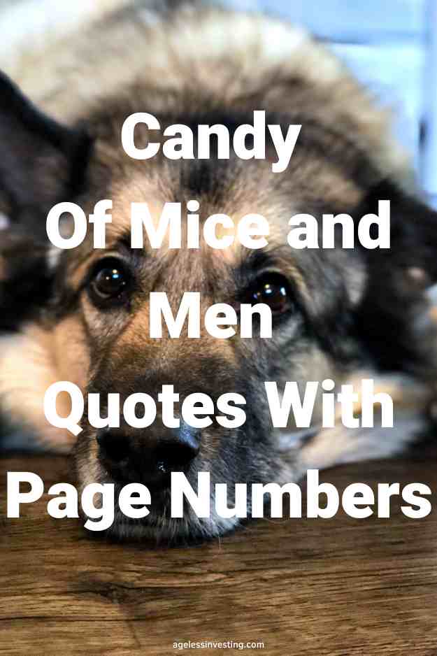 A picture of an old, sad dog lying down, with the text overlay:"Candy Of Mice and Men Quotes With Page Numbers"