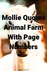 A picture of the face of a white horse, with the text overlay: "Mollie Quotes Animal Farm With Page Numbers"