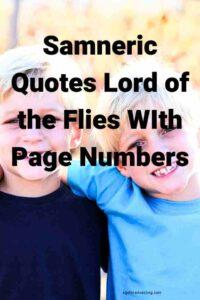 A picture of twin boys with blonde hair, with the text overlay: "Samneric Quotes Lord of the Flies WIth Page Numbers"