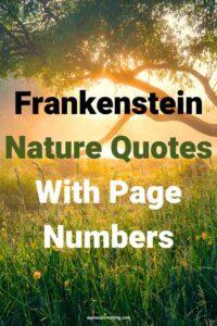 A picture of a nature scene with a sunset over a field, with the text overlay: "Frankenstein Nature Quotes With Page Numbers"