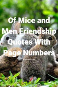 A picture of two baby rabbits in the grass, with the text overlay: "Of Mice and Men Friendship Quotes With Page Numbers"