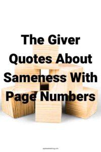 A picture of wooden blocks against a white background, with the text overlay: "The Giver Quotes About Sameness With Page Numbers"