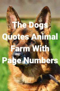 A picture of a German guard dog, with the text overlay: "The Dogs Quotes Animal Farm With Page Numbers"