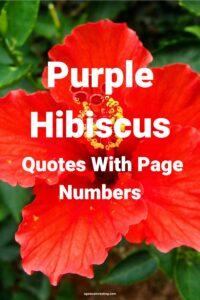 A picture of a red hibiscus flower with the text overlay: "Purple Hibiscus Quotes With Page Numbers"