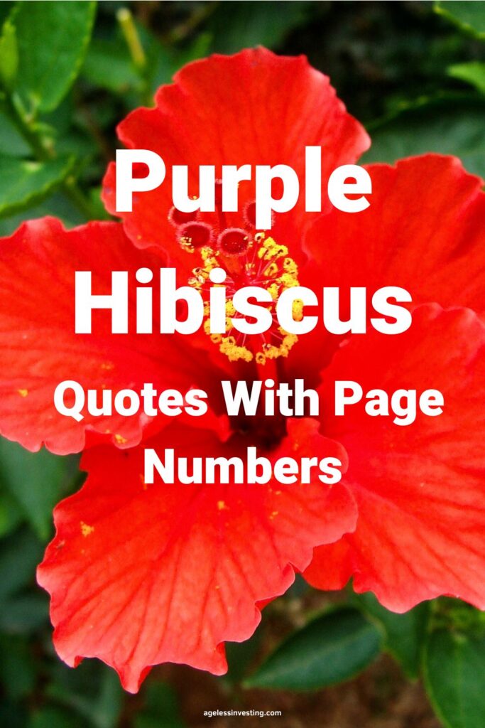 A picture of a red hibiscus flower with the text overlay: "Purple Hibiscus Quotes With Page Numbers"