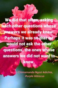 An image of a pink hibiscus flower, with the text overlay: “We did that often, asking each other questions whose answers we already knew. Perhaps it was so that we would not ask the other questions, the ones whose answers we did not want to know.” ~Chimamanda Ngozi Adichie, Purple Hibiscus