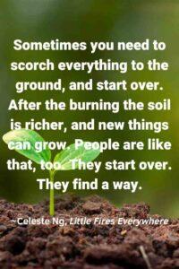 An image of a green seedling growing in dark brown soil, with the text overlay: “Sometimes you need to scorch everything to the ground, and start over. After the burning the soil is richer, and new things can grow. People are like that, too. They start over. They find a way.” ~Celeste Ng, Little Fires Everywhere