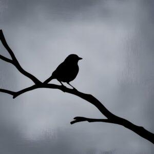 Silhouette of a small songbird perched on a bare branch against a textured, moody sky, symbolizing the theme of quiet courage and resilience in 'To Kill a Mockingbird'.